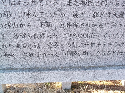 iwashira033.JPG