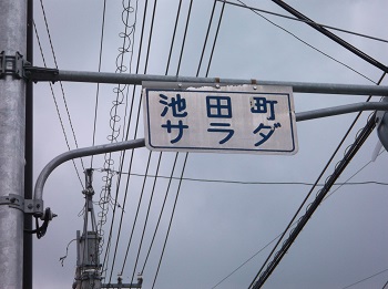 tokushima64.JPG